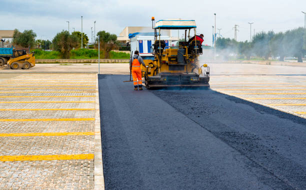 Best Local Driveway Pavers  in Williamsport, OH